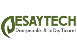 Esaytech Logo